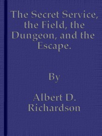 The Secret Service, the Field, the Dungeon, and the Escape — Albert D. (Albert Deane) Richardson cover