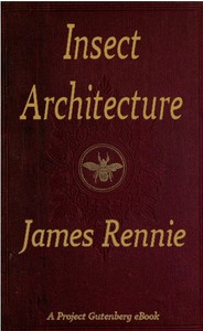Insect Architecture — James Rennie cover