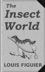 The Insect World: Being a Popular Account of the Orders of Insects; Together with a Description of the Habits and Economy of Some of the Most Interesting Species — Louis Figuier cover