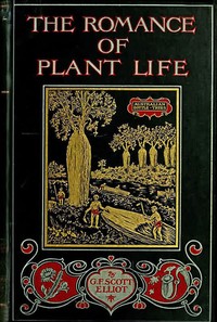 The Romance of Plant Life: Interesting Descriptions of the Strange and Curious in the Plant World — G. F. Scott (George Francis Scott) Elliot cover