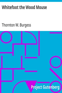 Whitefoot the Wood Mouse — Thornton W. (Thornton Waldo) Burgess cover