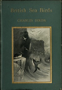 British Sea Birds — Charles Dixon cover