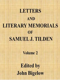 Letters and Literary Memorials of Samuel J. Tilden, v. 2 — Samuel J. (Samuel Jones) Tilden cover