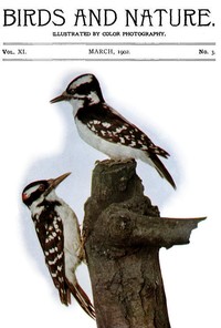 Birds and Nature Vol. 11 No. 3 [March 1902]: Illustrated by Color Photography — Various cover