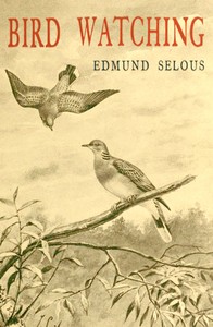 Bird Watching cover