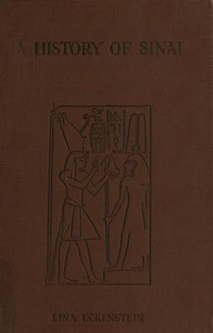A History of Sinai cover