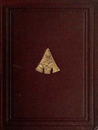 The Ancient Stone Implements, Weapons and Ornaments, of Great Britain: Second Edition, Revised — John Evans cover