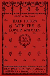 Half hours with the lower animals : $b protozoans, sponges, corals, shells, insects, and crustaceans — Charles Frederick Holder cover