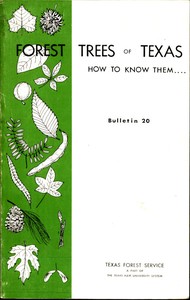 Forest Trees of Texas: How to Know Them — Wilbur R. (Wilbur Reed) Mattoon cover