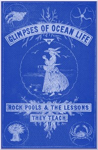 Glimpses of Ocean Life; Or, Rock-Pools and the Lessons they Teach — John Harper cover