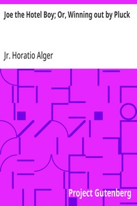 Joe the Hotel Boy; Or, Winning out by Pluck — Horatio, Jr. Alger cover