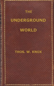 The Underground World: A mirror of life below the surface — Thomas Wallace Knox cover
