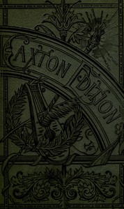 Ladies' manual of art; or, profit and pastime.: A self teacher in all branches of decorative art, embracing every variety of painting and drawing on china, glass, velvet, canvas, paper and wood the secret of all glass transparencies, sketching from n — Anonymous cover