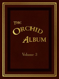 The Orchid Album, Volume 3: Comprising Coloured Figures and Descriptions of New, Rare, and Beautiful Orchidaceous Plants — Thomas Moore cover
