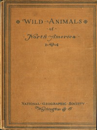 Wild Animals of North America: Intimate Studies of Big and Little Creatures of the Mammal Kingdom — Edward William Nelson cover