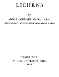 Lichens cover
