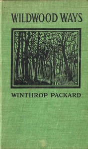 Wildwood Ways — Winthrop Packard cover
