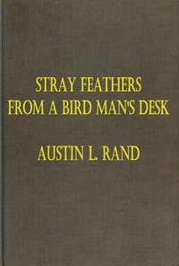 Stray Feathers From a Bird Man's Desk — Austin Loomer Rand cover