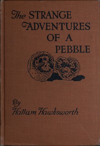 The Strange Adventures of a Pebble — Hallam Hawksworth cover