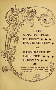 The sensitive plant cover