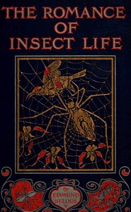 The romance of insect life : $b Interesting descriptions of the strange and curious in the insect world — Edmund Selous cover