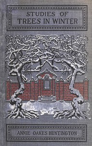 Studies of trees in winter : $b A description of the deciduous trees of northeastern America — Annie Oakes Huntington cover