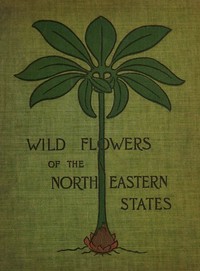 Wild flowers of the north-eastern states : $b Being three hundred and eight individuals common to the north-eastern United States — Ellen Miller cover