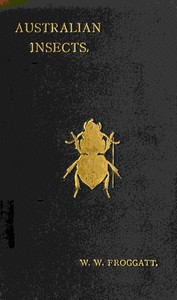 Australian insects — Walter W. (Walter Wilson) Froggatt cover