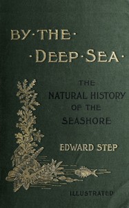 By the deep sea : $b a popular introduction to the wild life of the British shores — Edward Step cover