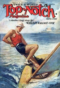 The Old Lady flies — Raoul Whitfield cover