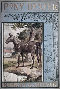 The adventures of Pony Dexter — Harriet A. (Harriet Anna) Cheever cover