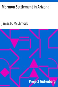 Mormon Settlement in Arizona: A Record of Peaceful Conquest of the Desert — James H. McClintock cover