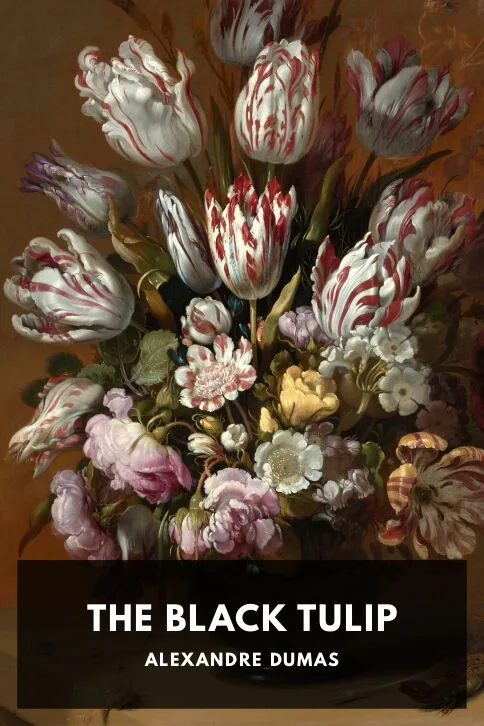 The Black Tulip — Alexandre Dumas cover