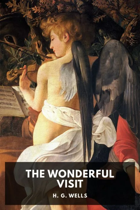 The Wonderful Visit — H. G. Wells cover