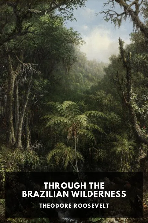 Through the Brazilian Wilderness — Theodore Roosevelt cover