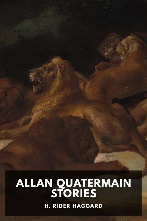 Allan Quatermain Stories — H. Rider Haggard cover